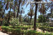 [P01] Des intalnite in Palermo, gradinile luxuriante ofera un aer 100% exotic orasului » foto by danieltanase*
 - 
<span class="allrVoted glyphicon glyphicon-heart hidden" id="av461519"></span>
<a class="m-l-10 hidden" id="sv461519" onclick="voting_Foto_DelVot(,461519,3509)" role="button">șterge vot <span class="glyphicon glyphicon-remove"></span></a>
<a id="v9461519" class=" c-red"  onclick="voting_Foto_SetVot(461519)" role="button"><span class="glyphicon glyphicon-heart-empty"></span> <b>LIKE</b> = Votează poza</a> <img class="hidden"  id="f461519W9" src="/imagini/loader.gif" border="0" /><span class="AjErrMes hidden" id="e461519ErM"></span>
