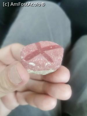 [P21] Am gasit si o piatra interesanta, cu o cruciulita incrustata pe ea. » foto by dorgo
 - 
<span class="allrVoted glyphicon glyphicon-heart hidden" id="av1508492"></span>
<a class="m-l-10 hidden" id="sv1508492" onclick="voting_Foto_DelVot(,1508492,3509)" role="button">șterge vot <span class="glyphicon glyphicon-remove"></span></a>
<a id="v91508492" class=" c-red"  onclick="voting_Foto_SetVot(1508492)" role="button"><span class="glyphicon glyphicon-heart-empty"></span> <b>LIKE</b> = Votează poza</a> <img class="hidden"  id="f1508492W9" src="/imagini/loader.gif" border="0" /><span class="AjErrMes hidden" id="e1508492ErM"></span>