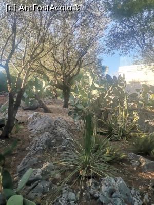 [P15] Langa amfiteatru se afla o mica gradina botanica si un restaurant » foto by dorgo
 - 
<span class="allrVoted glyphicon glyphicon-heart hidden" id="av1509273"></span>
<a class="m-l-10 hidden" id="sv1509273" onclick="voting_Foto_DelVot(,1509273,3509)" role="button">șterge vot <span class="glyphicon glyphicon-remove"></span></a>
<a id="v91509273" class=" c-red"  onclick="voting_Foto_SetVot(1509273)" role="button"><span class="glyphicon glyphicon-heart-empty"></span> <b>LIKE</b> = Votează poza</a> <img class="hidden"  id="f1509273W9" src="/imagini/loader.gif" border="0" /><span class="AjErrMes hidden" id="e1509273ErM"></span>