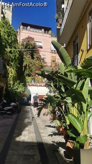 [P07] Taormina pare o gradina exotica printre care au rasarit si niste case » foto by dorgo
 - 
<span class="allrVoted glyphicon glyphicon-heart hidden" id="av1509265"></span>
<a class="m-l-10 hidden" id="sv1509265" onclick="voting_Foto_DelVot(,1509265,3509)" role="button">șterge vot <span class="glyphicon glyphicon-remove"></span></a>
<a id="v91509265" class=" c-red"  onclick="voting_Foto_SetVot(1509265)" role="button"><span class="glyphicon glyphicon-heart-empty"></span> <b>LIKE</b> = Votează poza</a> <img class="hidden"  id="f1509265W9" src="/imagini/loader.gif" border="0" /><span class="AjErrMes hidden" id="e1509265ErM"></span>