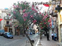 [P03] Liniste curatenie si o multime de flori . » foto by cronung
 - 
<span class="allrVoted glyphicon glyphicon-heart hidden" id="av20360"></span>
<a class="m-l-10 hidden" id="sv20360" onclick="voting_Foto_DelVot(,20360,3510)" role="button">șterge vot <span class="glyphicon glyphicon-remove"></span></a>
<a id="v920360" class=" c-red"  onclick="voting_Foto_SetVot(20360)" role="button"><span class="glyphicon glyphicon-heart-empty"></span> <b>LIKE</b> = Votează poza</a> <img class="hidden"  id="f20360W9" src="/imagini/loader.gif" border="0" /><span class="AjErrMes hidden" id="e20360ErM"></span>