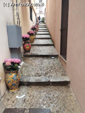 [P21] Străduță în Cefalu » foto by Marius 72
 - 
<span class="allrVoted glyphicon glyphicon-heart hidden" id="av1422495"></span>
<a class="m-l-10 hidden" id="sv1422495" onclick="voting_Foto_DelVot(,1422495,3510)" role="button">șterge vot <span class="glyphicon glyphicon-remove"></span></a>
<a id="v91422495" class=" c-red"  onclick="voting_Foto_SetVot(1422495)" role="button"><span class="glyphicon glyphicon-heart-empty"></span> <b>LIKE</b> = Votează poza</a> <img class="hidden"  id="f1422495W9" src="/imagini/loader.gif" border="0" /><span class="AjErrMes hidden" id="e1422495ErM"></span>
