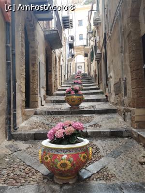 [P07] Cefalu » foto by Marius 72
 - 
<span class="allrVoted glyphicon glyphicon-heart hidden" id="av1422481"></span>
<a class="m-l-10 hidden" id="sv1422481" onclick="voting_Foto_DelVot(,1422481,3510)" role="button">șterge vot <span class="glyphicon glyphicon-remove"></span></a>
<a id="v91422481" class=" c-red"  onclick="voting_Foto_SetVot(1422481)" role="button"><span class="glyphicon glyphicon-heart-empty"></span> <b>LIKE</b> = Votează poza</a> <img class="hidden"  id="f1422481W9" src="/imagini/loader.gif" border="0" /><span class="AjErrMes hidden" id="e1422481ErM"></span>