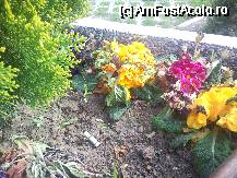 [P01] Parcul IOR- stradania unora sa aduca ce e frumos in viata noastra este stricata de nesimtiti care confunda ghivecele florilor cu scrumiera » foto by kmy
 - 
<span class="allrVoted glyphicon glyphicon-heart hidden" id="av65320"></span>
<a class="m-l-10 hidden" id="sv65320" onclick="voting_Foto_DelVot(,65320,3511)" role="button">șterge vot <span class="glyphicon glyphicon-remove"></span></a>
<a id="v965320" class=" c-red"  onclick="voting_Foto_SetVot(65320)" role="button"><span class="glyphicon glyphicon-heart-empty"></span> <b>LIKE</b> = Votează poza</a> <img class="hidden"  id="f65320W9" src="/imagini/loader.gif" border="0" /><span class="AjErrMes hidden" id="e65320ErM"></span>