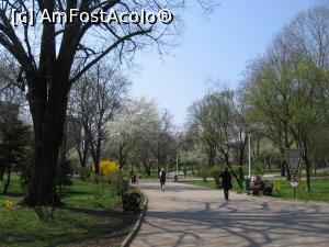 [P24] Pe aleile parcului Floreasca » foto by Michi
 - 
<span class="allrVoted glyphicon glyphicon-heart hidden" id="av1290996"></span>
<a class="m-l-10 hidden" id="sv1290996" onclick="voting_Foto_DelVot(,1290996,3511)" role="button">șterge vot <span class="glyphicon glyphicon-remove"></span></a>
<a id="v91290996" class=" c-red"  onclick="voting_Foto_SetVot(1290996)" role="button"><span class="glyphicon glyphicon-heart-empty"></span> <b>LIKE</b> = Votează poza</a> <img class="hidden"  id="f1290996W9" src="/imagini/loader.gif" border="0" /><span class="AjErrMes hidden" id="e1290996ErM"></span>