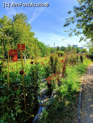 [P03] În Grădina botanică „Ioan Todor” din USAMV București - spațiu de cercetare. » foto by tata123 🔱
 - 
<span class="allrVoted glyphicon glyphicon-heart hidden" id="av1331467"></span>
<a class="m-l-10 hidden" id="sv1331467" onclick="voting_Foto_DelVot(,1331467,3511)" role="button">șterge vot <span class="glyphicon glyphicon-remove"></span></a>
<a id="v91331467" class=" c-red"  onclick="voting_Foto_SetVot(1331467)" role="button"><span class="glyphicon glyphicon-heart-empty"></span> <b>LIKE</b> = Votează poza</a> <img class="hidden"  id="f1331467W9" src="/imagini/loader.gif" border="0" /><span class="AjErrMes hidden" id="e1331467ErM"></span>