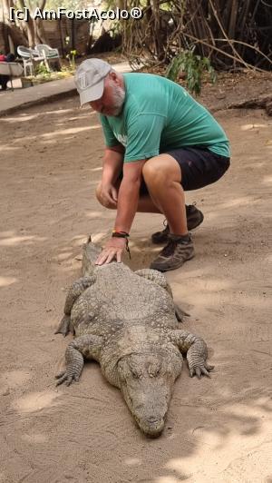 [P32] crocodile dundee » foto by robert
 - 
<span class="allrVoted glyphicon glyphicon-heart hidden" id="av1291823"></span>
<a class="m-l-10 hidden" id="sv1291823" onclick="voting_Foto_DelVot(,1291823,3513)" role="button">șterge vot <span class="glyphicon glyphicon-remove"></span></a>
<a id="v91291823" class=" c-red"  onclick="voting_Foto_SetVot(1291823)" role="button"><span class="glyphicon glyphicon-heart-empty"></span> <b>LIKE</b> = Votează poza</a> <img class="hidden"  id="f1291823W9" src="/imagini/loader.gif" border="0" /><span class="AjErrMes hidden" id="e1291823ErM"></span>