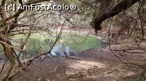 [P38] iazul de crocodili » foto by robert
 - 
<span class="allrVoted glyphicon glyphicon-heart hidden" id="av1291829"></span>
<a class="m-l-10 hidden" id="sv1291829" onclick="voting_Foto_DelVot(,1291829,3513)" role="button">șterge vot <span class="glyphicon glyphicon-remove"></span></a>
<a id="v91291829" class=" c-red"  onclick="voting_Foto_SetVot(1291829)" role="button"><span class="glyphicon glyphicon-heart-empty"></span> <b>LIKE</b> = Votează poza</a> <img class="hidden"  id="f1291829W9" src="/imagini/loader.gif" border="0" /><span class="AjErrMes hidden" id="e1291829ErM"></span>