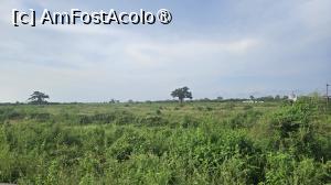 [P01] vedere de pe drum » foto by robert
 - 
<span class="allrVoted glyphicon glyphicon-heart hidden" id="av1511268"></span>
<a class="m-l-10 hidden" id="sv1511268" onclick="voting_Foto_DelVot(,1511268,3514)" role="button">șterge vot <span class="glyphicon glyphicon-remove"></span></a>
<a id="v91511268" class=" c-red"  onclick="voting_Foto_SetVot(1511268)" role="button"><span class="glyphicon glyphicon-heart-empty"></span> <b>LIKE</b> = Votează poza</a> <img class="hidden"  id="f1511268W9" src="/imagini/loader.gif" border="0" /><span class="AjErrMes hidden" id="e1511268ErM"></span>