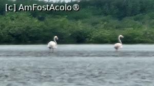 [P15] vedere din deltă » foto by robert
 - 
<span class="allrVoted glyphicon glyphicon-heart hidden" id="av1511282"></span>
<a class="m-l-10 hidden" id="sv1511282" onclick="voting_Foto_DelVot(,1511282,3514)" role="button">șterge vot <span class="glyphicon glyphicon-remove"></span></a>
<a id="v91511282" class=" c-red"  onclick="voting_Foto_SetVot(1511282)" role="button"><span class="glyphicon glyphicon-heart-empty"></span> <b>LIKE</b> = Votează poza</a> <img class="hidden"  id="f1511282W9" src="/imagini/loader.gif" border="0" /><span class="AjErrMes hidden" id="e1511282ErM"></span>