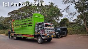 [P02] mașina transport animale » foto by robert
 - 
<span class="allrVoted glyphicon glyphicon-heart hidden" id="av1275430"></span>
<a class="m-l-10 hidden" id="sv1275430" onclick="voting_Foto_DelVot(,1275430,3516)" role="button">șterge vot <span class="glyphicon glyphicon-remove"></span></a>
<a id="v91275430" class=" c-red"  onclick="voting_Foto_SetVot(1275430)" role="button"><span class="glyphicon glyphicon-heart-empty"></span> <b>LIKE</b> = Votează poza</a> <img class="hidden"  id="f1275430W9" src="/imagini/loader.gif" border="0" /><span class="AjErrMes hidden" id="e1275430ErM"></span>