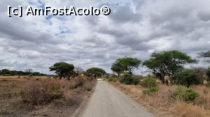 [P18] Parcul National Tarangire » foto by robert
 - 
<span class="allrVoted glyphicon glyphicon-heart hidden" id="av1282066"></span>
<a class="m-l-10 hidden" id="sv1282066" onclick="voting_Foto_DelVot(,1282066,3516)" role="button">șterge vot <span class="glyphicon glyphicon-remove"></span></a>
<a id="v91282066" class=" c-red"  onclick="voting_Foto_SetVot(1282066)" role="button"><span class="glyphicon glyphicon-heart-empty"></span> <b>LIKE</b> = Votează poza</a> <img class="hidden"  id="f1282066W9" src="/imagini/loader.gif" border="0" /><span class="AjErrMes hidden" id="e1282066ErM"></span>
