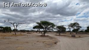 [P19] Parcul National Tarangire » foto by robert
 - 
<span class="allrVoted glyphicon glyphicon-heart hidden" id="av1282067"></span>
<a class="m-l-10 hidden" id="sv1282067" onclick="voting_Foto_DelVot(,1282067,3516)" role="button">șterge vot <span class="glyphicon glyphicon-remove"></span></a>
<a id="v91282067" class=" c-red"  onclick="voting_Foto_SetVot(1282067)" role="button"><span class="glyphicon glyphicon-heart-empty"></span> <b>LIKE</b> = Votează poza</a> <img class="hidden"  id="f1282067W9" src="/imagini/loader.gif" border="0" /><span class="AjErrMes hidden" id="e1282067ErM"></span>