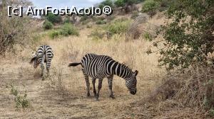 [P27] Parcul National Tarangire » foto by robert
 - 
<span class="allrVoted glyphicon glyphicon-heart hidden" id="av1282075"></span>
<a class="m-l-10 hidden" id="sv1282075" onclick="voting_Foto_DelVot(,1282075,3516)" role="button">șterge vot <span class="glyphicon glyphicon-remove"></span></a>
<a id="v91282075" class=" c-red"  onclick="voting_Foto_SetVot(1282075)" role="button"><span class="glyphicon glyphicon-heart-empty"></span> <b>LIKE</b> = Votează poza</a> <img class="hidden"  id="f1282075W9" src="/imagini/loader.gif" border="0" /><span class="AjErrMes hidden" id="e1282075ErM"></span>