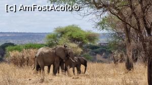 [P29] Parcul National Tarangire » foto by robert
 - 
<span class="allrVoted glyphicon glyphicon-heart hidden" id="av1282077"></span>
<a class="m-l-10 hidden" id="sv1282077" onclick="voting_Foto_DelVot(,1282077,3516)" role="button">șterge vot <span class="glyphicon glyphicon-remove"></span></a>
<a id="v91282077" class=" c-red"  onclick="voting_Foto_SetVot(1282077)" role="button"><span class="glyphicon glyphicon-heart-empty"></span> <b>LIKE</b> = Votează poza</a> <img class="hidden"  id="f1282077W9" src="/imagini/loader.gif" border="0" /><span class="AjErrMes hidden" id="e1282077ErM"></span>