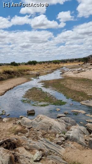 [P32] Parcul National Tarangire » foto by robert
 - 
<span class="allrVoted glyphicon glyphicon-heart hidden" id="av1282080"></span>
<a class="m-l-10 hidden" id="sv1282080" onclick="voting_Foto_DelVot(,1282080,3516)" role="button">șterge vot <span class="glyphicon glyphicon-remove"></span></a>
<a id="v91282080" class=" c-red"  onclick="voting_Foto_SetVot(1282080)" role="button"><span class="glyphicon glyphicon-heart-empty"></span> <b>LIKE</b> = Votează poza</a> <img class="hidden"  id="f1282080W9" src="/imagini/loader.gif" border="0" /><span class="AjErrMes hidden" id="e1282080ErM"></span>