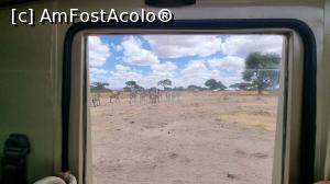 [P44] Parcul National Tarangire » foto by robert
 - 
<span class="allrVoted glyphicon glyphicon-heart hidden" id="av1282092"></span>
<a class="m-l-10 hidden" id="sv1282092" onclick="voting_Foto_DelVot(,1282092,3516)" role="button">șterge vot <span class="glyphicon glyphicon-remove"></span></a>
<a id="v91282092" class=" c-red"  onclick="voting_Foto_SetVot(1282092)" role="button"><span class="glyphicon glyphicon-heart-empty"></span> <b>LIKE</b> = Votează poza</a> <img class="hidden"  id="f1282092W9" src="/imagini/loader.gif" border="0" /><span class="AjErrMes hidden" id="e1282092ErM"></span>