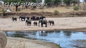 [P48] Parcul National Tarangire » foto by robert
 - 
<span class="allrVoted glyphicon glyphicon-heart hidden" id="av1282096"></span>
<a class="m-l-10 hidden" id="sv1282096" onclick="voting_Foto_DelVot(,1282096,3516)" role="button">șterge vot <span class="glyphicon glyphicon-remove"></span></a>
<a id="v91282096" class=" c-red"  onclick="voting_Foto_SetVot(1282096)" role="button"><span class="glyphicon glyphicon-heart-empty"></span> <b>LIKE</b> = Votează poza</a> <img class="hidden"  id="f1282096W9" src="/imagini/loader.gif" border="0" /><span class="AjErrMes hidden" id="e1282096ErM"></span>