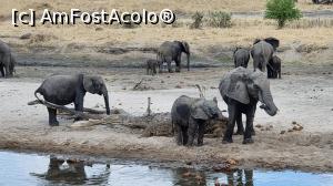 [P51] Parcul National Tarangire » foto by robert
 - 
<span class="allrVoted glyphicon glyphicon-heart hidden" id="av1282099"></span>
<a class="m-l-10 hidden" id="sv1282099" onclick="voting_Foto_DelVot(,1282099,3516)" role="button">șterge vot <span class="glyphicon glyphicon-remove"></span></a>
<a id="v91282099" class=" c-red"  onclick="voting_Foto_SetVot(1282099)" role="button"><span class="glyphicon glyphicon-heart-empty"></span> <b>LIKE</b> = Votează poza</a> <img class="hidden"  id="f1282099W9" src="/imagini/loader.gif" border="0" /><span class="AjErrMes hidden" id="e1282099ErM"></span>