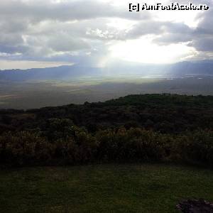 [P12]  -- <small>// FĂRĂ DESCRIERE</small> » foto by Cristina_Dtru
 - 
<span class="allrVoted glyphicon glyphicon-heart hidden" id="av518819"></span>
<a class="m-l-10 hidden" id="sv518819" onclick="voting_Foto_DelVot(,518819,3516)" role="button">șterge vot <span class="glyphicon glyphicon-remove"></span></a>
<a id="v9518819" class=" c-red"  onclick="voting_Foto_SetVot(518819)" role="button"><span class="glyphicon glyphicon-heart-empty"></span> <b>LIKE</b> = Votează poza</a> <img class="hidden"  id="f518819W9" src="/imagini/loader.gif" border="0" /><span class="AjErrMes hidden" id="e518819ErM"></span>