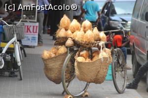 [P01] Din nou nucile de cocos pe care aș fi vrut să le împart cu prietenii.  » foto by glcitizen
 - 
<span class="allrVoted glyphicon glyphicon-heart hidden" id="av975148"></span>
<a class="m-l-10 hidden" id="sv975148" onclick="voting_Foto_DelVot(,975148,3516)" role="button">șterge vot <span class="glyphicon glyphicon-remove"></span></a>
<a id="v9975148" class=" c-red"  onclick="voting_Foto_SetVot(975148)" role="button"><span class="glyphicon glyphicon-heart-empty"></span> <b>LIKE</b> = Votează poza</a> <img class="hidden"  id="f975148W9" src="/imagini/loader.gif" border="0" /><span class="AjErrMes hidden" id="e975148ErM"></span>