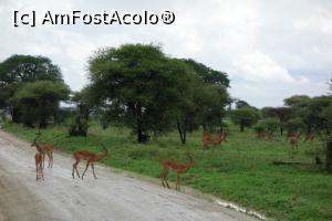 [P18] animalele nu se tem de noi » foto by Lila Mo
 - 
<span class="allrVoted glyphicon glyphicon-heart hidden" id="av725715"></span>
<a class="m-l-10 hidden" id="sv725715" onclick="voting_Foto_DelVot(,725715,3516)" role="button">șterge vot <span class="glyphicon glyphicon-remove"></span></a>
<a id="v9725715" class=" c-red"  onclick="voting_Foto_SetVot(725715)" role="button"><span class="glyphicon glyphicon-heart-empty"></span> <b>LIKE</b> = Votează poza</a> <img class="hidden"  id="f725715W9" src="/imagini/loader.gif" border="0" /><span class="AjErrMes hidden" id="e725715ErM"></span>