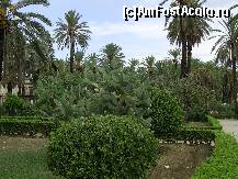 [P33] Palermo - In gradinile orasului vechi.  » foto by iulianic
 - 
<span class="allrVoted glyphicon glyphicon-heart hidden" id="av391209"></span>
<a class="m-l-10 hidden" id="sv391209" onclick="voting_Foto_DelVot(,391209,3527)" role="button">șterge vot <span class="glyphicon glyphicon-remove"></span></a>
<a id="v9391209" class=" c-red"  onclick="voting_Foto_SetVot(391209)" role="button"><span class="glyphicon glyphicon-heart-empty"></span> <b>LIKE</b> = Votează poza</a> <img class="hidden"  id="f391209W9" src="/imagini/loader.gif" border="0" /><span class="AjErrMes hidden" id="e391209ErM"></span>