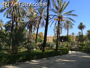 [P39] Parcul cu palmieri din fața Palatului Normand » foto by crismis
 - 
<span class="allrVoted glyphicon glyphicon-heart hidden" id="av1128407"></span>
<a class="m-l-10 hidden" id="sv1128407" onclick="voting_Foto_DelVot(,1128407,3527)" role="button">șterge vot <span class="glyphicon glyphicon-remove"></span></a>
<a id="v91128407" class=" c-red"  onclick="voting_Foto_SetVot(1128407)" role="button"><span class="glyphicon glyphicon-heart-empty"></span> <b>LIKE</b> = Votează poza</a> <img class="hidden"  id="f1128407W9" src="/imagini/loader.gif" border="0" /><span class="AjErrMes hidden" id="e1128407ErM"></span>