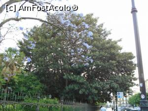 [P17] Giardino Garibaldi » foto by Carmen Ion
 - 
<span class="allrVoted glyphicon glyphicon-heart hidden" id="av1102107"></span>
<a class="m-l-10 hidden" id="sv1102107" onclick="voting_Foto_DelVot(,1102107,3527)" role="button">șterge vot <span class="glyphicon glyphicon-remove"></span></a>
<a id="v91102107" class=" c-red"  onclick="voting_Foto_SetVot(1102107)" role="button"><span class="glyphicon glyphicon-heart-empty"></span> <b>LIKE</b> = Votează poza</a> <img class="hidden"  id="f1102107W9" src="/imagini/loader.gif" border="0" /><span class="AjErrMes hidden" id="e1102107ErM"></span>