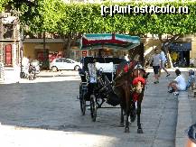 [P02] Taxi local . » foto by cronung
 - 
<span class="allrVoted glyphicon glyphicon-heart hidden" id="av20619"></span>
<a class="m-l-10 hidden" id="sv20619" onclick="voting_Foto_DelVot(,20619,3527)" role="button">șterge vot <span class="glyphicon glyphicon-remove"></span></a>
<a id="v920619" class=" c-red"  onclick="voting_Foto_SetVot(20619)" role="button"><span class="glyphicon glyphicon-heart-empty"></span> <b>LIKE</b> = Votează poza</a> <img class="hidden"  id="f20619W9" src="/imagini/loader.gif" border="0" /><span class="AjErrMes hidden" id="e20619ErM"></span>