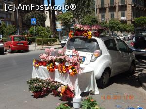 [P15] Florarie. Si proprietarul acestei florarii ne-a trimis aiurea...  » foto by cristina47*
 - 
<span class="allrVoted glyphicon glyphicon-heart hidden" id="av857252"></span>
<a class="m-l-10 hidden" id="sv857252" onclick="voting_Foto_DelVot(,857252,3527)" role="button">șterge vot <span class="glyphicon glyphicon-remove"></span></a>
<a id="v9857252" class=" c-red"  onclick="voting_Foto_SetVot(857252)" role="button"><span class="glyphicon glyphicon-heart-empty"></span> <b>LIKE</b> = Votează poza</a> <img class="hidden"  id="f857252W9" src="/imagini/loader.gif" border="0" /><span class="AjErrMes hidden" id="e857252ErM"></span>