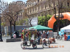 [P18] La Caroza di Zagara! » foto by cristina47*
 - 
<span class="allrVoted glyphicon glyphicon-heart hidden" id="av857255"></span>
<a class="m-l-10 hidden" id="sv857255" onclick="voting_Foto_DelVot(,857255,3527)" role="button">șterge vot <span class="glyphicon glyphicon-remove"></span></a>
<a id="v9857255" class=" c-red"  onclick="voting_Foto_SetVot(857255)" role="button"><span class="glyphicon glyphicon-heart-empty"></span> <b>LIKE</b> = Votează poza</a> <img class="hidden"  id="f857255W9" src="/imagini/loader.gif" border="0" /><span class="AjErrMes hidden" id="e857255ErM"></span>