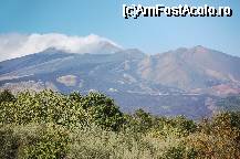 [P01] Vulcanul Etna » foto by ancamariagadea*
 - 
<span class="allrVoted glyphicon glyphicon-heart hidden" id="av34886"></span>
<a class="m-l-10 hidden" id="sv34886" onclick="voting_Foto_DelVot(,34886,3527)" role="button">șterge vot <span class="glyphicon glyphicon-remove"></span></a>
<a id="v934886" class=" c-red"  onclick="voting_Foto_SetVot(34886)" role="button"><span class="glyphicon glyphicon-heart-empty"></span> <b>LIKE</b> = Votează poza</a> <img class="hidden"  id="f34886W9" src="/imagini/loader.gif" border="0" /><span class="AjErrMes hidden" id="e34886ErM"></span>