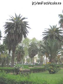 [P24] Palermo-parc » foto by Michi
 - 
<span class="allrVoted glyphicon glyphicon-heart hidden" id="av66382"></span>
<a class="m-l-10 hidden" id="sv66382" onclick="voting_Foto_DelVot(,66382,3527)" role="button">șterge vot <span class="glyphicon glyphicon-remove"></span></a>
<a id="v966382" class=" c-red"  onclick="voting_Foto_SetVot(66382)" role="button"><span class="glyphicon glyphicon-heart-empty"></span> <b>LIKE</b> = Votează poza</a> <img class="hidden"  id="f66382W9" src="/imagini/loader.gif" border="0" /><span class="AjErrMes hidden" id="e66382ErM"></span>
