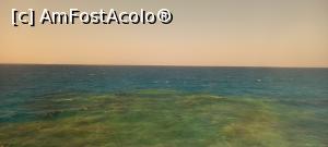 [P26] recif de corali » foto by Razeer2000
 - 
<span class="allrVoted glyphicon glyphicon-heart hidden" id="av1327030"></span>
<a class="m-l-10 hidden" id="sv1327030" onclick="voting_Foto_DelVot(,1327030,3529)" role="button">șterge vot <span class="glyphicon glyphicon-remove"></span></a>
<a id="v91327030" class=" c-red"  onclick="voting_Foto_SetVot(1327030)" role="button"><span class="glyphicon glyphicon-heart-empty"></span> <b>LIKE</b> = Votează poza</a> <img class="hidden"  id="f1327030W9" src="/imagini/loader.gif" border="0" /><span class="AjErrMes hidden" id="e1327030ErM"></span>