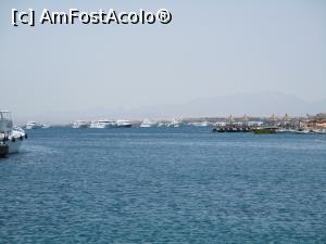 [P29] Portul Hurghada » foto by Razeer2000
 - 
<span class="allrVoted glyphicon glyphicon-heart hidden" id="av1327033"></span>
<a class="m-l-10 hidden" id="sv1327033" onclick="voting_Foto_DelVot(,1327033,3529)" role="button">șterge vot <span class="glyphicon glyphicon-remove"></span></a>
<a id="v91327033" class=" c-red"  onclick="voting_Foto_SetVot(1327033)" role="button"><span class="glyphicon glyphicon-heart-empty"></span> <b>LIKE</b> = Votează poza</a> <img class="hidden"  id="f1327033W9" src="/imagini/loader.gif" border="0" /><span class="AjErrMes hidden" id="e1327033ErM"></span>