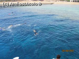 [P50] Snorkeling in larg » foto by Razeer2000
 - 
<span class="allrVoted glyphicon glyphicon-heart hidden" id="av1327054"></span>
<a class="m-l-10 hidden" id="sv1327054" onclick="voting_Foto_DelVot(,1327054,3529)" role="button">șterge vot <span class="glyphicon glyphicon-remove"></span></a>
<a id="v91327054" class=" c-red"  onclick="voting_Foto_SetVot(1327054)" role="button"><span class="glyphicon glyphicon-heart-empty"></span> <b>LIKE</b> = Votează poza</a> <img class="hidden"  id="f1327054W9" src="/imagini/loader.gif" border="0" /><span class="AjErrMes hidden" id="e1327054ErM"></span>