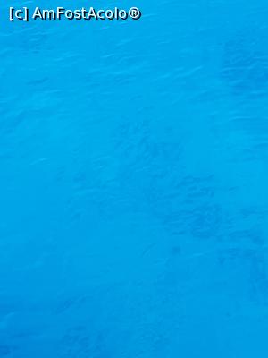 [P01] Minunata Mare Roșie » foto by Ady80
 - 
<span class="allrVoted glyphicon glyphicon-heart hidden" id="av1263987"></span>
<a class="m-l-10 hidden" id="sv1263987" onclick="voting_Foto_DelVot(,1263987,3529)" role="button">șterge vot <span class="glyphicon glyphicon-remove"></span></a>
<a id="v91263987" class=" c-red"  onclick="voting_Foto_SetVot(1263987)" role="button"><span class="glyphicon glyphicon-heart-empty"></span> <b>LIKE</b> = Votează poza</a> <img class="hidden"  id="f1263987W9" src="/imagini/loader.gif" border="0" /><span class="AjErrMes hidden" id="e1263987ErM"></span>