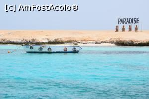 [P10]  -- <small>// FĂRĂ DESCRIERE</small> » foto by ChrisJohn
 - 
<span class="allrVoted glyphicon glyphicon-heart hidden" id="av1071924"></span>
<a class="m-l-10 hidden" id="sv1071924" onclick="voting_Foto_DelVot(,1071924,3529)" role="button">șterge vot <span class="glyphicon glyphicon-remove"></span></a>
<a id="v91071924" class=" c-red"  onclick="voting_Foto_SetVot(1071924)" role="button"><span class="glyphicon glyphicon-heart-empty"></span> <b>LIKE</b> = Votează poza</a> <img class="hidden"  id="f1071924W9" src="/imagini/loader.gif" border="0" /><span class="AjErrMes hidden" id="e1071924ErM"></span>