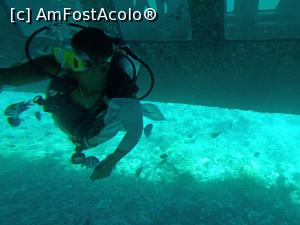 [P03]  -- <small>// FĂRĂ DESCRIERE</small> » foto by ChrisJohn
 - 
<span class="allrVoted glyphicon glyphicon-heart hidden" id="av1071917"></span>
<a class="m-l-10 hidden" id="sv1071917" onclick="voting_Foto_DelVot(,1071917,3529)" role="button">șterge vot <span class="glyphicon glyphicon-remove"></span></a>
<a id="v91071917" class=" c-red"  onclick="voting_Foto_SetVot(1071917)" role="button"><span class="glyphicon glyphicon-heart-empty"></span> <b>LIKE</b> = Votează poza</a> <img class="hidden"  id="f1071917W9" src="/imagini/loader.gif" border="0" /><span class="AjErrMes hidden" id="e1071917ErM"></span>