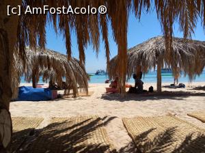 [P04]  -- <small>// FĂRĂ DESCRIERE</small> » foto by ChrisJohn
 - 
<span class="allrVoted glyphicon glyphicon-heart hidden" id="av1071918"></span>
<a class="m-l-10 hidden" id="sv1071918" onclick="voting_Foto_DelVot(,1071918,3529)" role="button">șterge vot <span class="glyphicon glyphicon-remove"></span></a>
<a id="v91071918" class=" c-red"  onclick="voting_Foto_SetVot(1071918)" role="button"><span class="glyphicon glyphicon-heart-empty"></span> <b>LIKE</b> = Votează poza</a> <img class="hidden"  id="f1071918W9" src="/imagini/loader.gif" border="0" /><span class="AjErrMes hidden" id="e1071918ErM"></span>