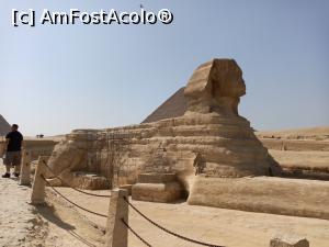 [P06]  -- <small>// FĂRĂ DESCRIERE</small> » foto by ChrisJohn
 - 
<span class="allrVoted glyphicon glyphicon-heart hidden" id="av1071920"></span>
<a class="m-l-10 hidden" id="sv1071920" onclick="voting_Foto_DelVot(,1071920,3529)" role="button">șterge vot <span class="glyphicon glyphicon-remove"></span></a>
<a id="v91071920" class=" c-red"  onclick="voting_Foto_SetVot(1071920)" role="button"><span class="glyphicon glyphicon-heart-empty"></span> <b>LIKE</b> = Votează poza</a> <img class="hidden"  id="f1071920W9" src="/imagini/loader.gif" border="0" /><span class="AjErrMes hidden" id="e1071920ErM"></span>