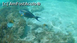 [P08]  -- <small>// FĂRĂ DESCRIERE</small> » foto by ChrisJohn
 - 
<span class="allrVoted glyphicon glyphicon-heart hidden" id="av1071922"></span>
<a class="m-l-10 hidden" id="sv1071922" onclick="voting_Foto_DelVot(,1071922,3529)" role="button">șterge vot <span class="glyphicon glyphicon-remove"></span></a>
<a id="v91071922" class=" c-red"  onclick="voting_Foto_SetVot(1071922)" role="button"><span class="glyphicon glyphicon-heart-empty"></span> <b>LIKE</b> = Votează poza</a> <img class="hidden"  id="f1071922W9" src="/imagini/loader.gif" border="0" /><span class="AjErrMes hidden" id="e1071922ErM"></span>