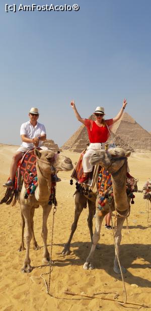 [P01] Piramide-plimbarea cu camila » foto by Ode19
 - 
<span class="allrVoted glyphicon glyphicon-heart hidden" id="av1092493"></span>
<a class="m-l-10 hidden" id="sv1092493" onclick="voting_Foto_DelVot(,1092493,3529)" role="button">șterge vot <span class="glyphicon glyphicon-remove"></span></a>
<a id="v91092493" class=" c-red"  onclick="voting_Foto_SetVot(1092493)" role="button"><span class="glyphicon glyphicon-heart-empty"></span> <b>LIKE</b> = Votează poza</a> <img class="hidden"  id="f1092493W9" src="/imagini/loader.gif" border="0" /><span class="AjErrMes hidden" id="e1092493ErM"></span>