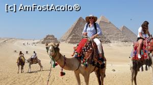 [P01] Egipt, istorie, piramide » foto by Cris 75
 - 
<span class="allrVoted glyphicon glyphicon-heart hidden" id="av1094936"></span>
<a class="m-l-10 hidden" id="sv1094936" onclick="voting_Foto_DelVot(,1094936,3529)" role="button">șterge vot <span class="glyphicon glyphicon-remove"></span></a>
<a id="v91094936" class=" c-red"  onclick="voting_Foto_SetVot(1094936)" role="button"><span class="glyphicon glyphicon-heart-empty"></span> <b>LIKE</b> = Votează poza</a> <img class="hidden"  id="f1094936W9" src="/imagini/loader.gif" border="0" /><span class="AjErrMes hidden" id="e1094936ErM"></span>