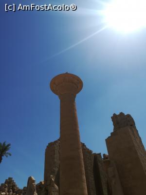 [P11] Karnak Temple - Luxor » foto by TinaP
 - 
<span class="allrVoted glyphicon glyphicon-heart hidden" id="av1107626"></span>
<a class="m-l-10 hidden" id="sv1107626" onclick="voting_Foto_DelVot(,1107626,3529)" role="button">șterge vot <span class="glyphicon glyphicon-remove"></span></a>
<a id="v91107626" class=" c-red"  onclick="voting_Foto_SetVot(1107626)" role="button"><span class="glyphicon glyphicon-heart-empty"></span> <b>LIKE</b> = Votează poza</a> <img class="hidden"  id="f1107626W9" src="/imagini/loader.gif" border="0" /><span class="AjErrMes hidden" id="e1107626ErM"></span>