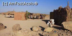 [P11] Safari (satul beduinilor) - Hurghada/Egipt » foto by Magdalena87
 - 
<span class="allrVoted glyphicon glyphicon-heart hidden" id="av1114044"></span>
<a class="m-l-10 hidden" id="sv1114044" onclick="voting_Foto_DelVot(,1114044,3529)" role="button">șterge vot <span class="glyphicon glyphicon-remove"></span></a>
<a id="v91114044" class=" c-red"  onclick="voting_Foto_SetVot(1114044)" role="button"><span class="glyphicon glyphicon-heart-empty"></span> <b>LIKE</b> = Votează poza</a> <img class="hidden"  id="f1114044W9" src="/imagini/loader.gif" border="0" /><span class="AjErrMes hidden" id="e1114044ErM"></span>