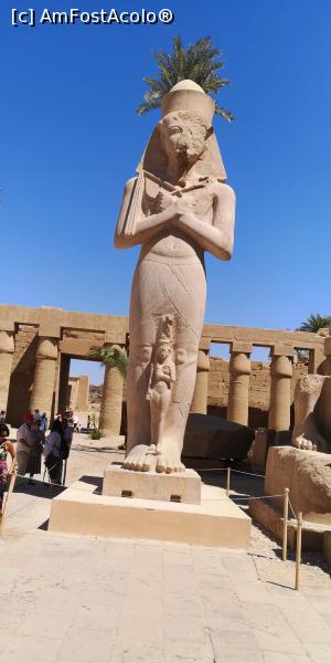[P07] Karnak - Luxor/Egipt » foto by Magdalena87
 - 
<span class="allrVoted glyphicon glyphicon-heart hidden" id="av1114027"></span>
<a class="m-l-10 hidden" id="sv1114027" onclick="voting_Foto_DelVot(,1114027,3529)" role="button">șterge vot <span class="glyphicon glyphicon-remove"></span></a>
<a id="v91114027" class=" c-red"  onclick="voting_Foto_SetVot(1114027)" role="button"><span class="glyphicon glyphicon-heart-empty"></span> <b>LIKE</b> = Votează poza</a> <img class="hidden"  id="f1114027W9" src="/imagini/loader.gif" border="0" /><span class="AjErrMes hidden" id="e1114027ErM"></span>