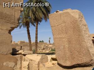 [P01]  -- <small>// FĂRĂ DESCRIERE</small> » foto by CristynaD
 - 
<span class="allrVoted glyphicon glyphicon-heart hidden" id="av1116454"></span>
<a class="m-l-10 hidden" id="sv1116454" onclick="voting_Foto_DelVot(,1116454,3529)" role="button">șterge vot <span class="glyphicon glyphicon-remove"></span></a>
<a id="v91116454" class=" c-red"  onclick="voting_Foto_SetVot(1116454)" role="button"><span class="glyphicon glyphicon-heart-empty"></span> <b>LIKE</b> = Votează poza</a> <img class="hidden"  id="f1116454W9" src="/imagini/loader.gif" border="0" /><span class="AjErrMes hidden" id="e1116454ErM"></span>