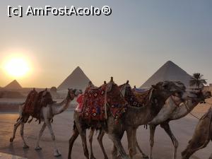 [P07]  -- <small>// FĂRĂ DESCRIERE</small> » foto by Aurelia1990
 - 
<span class="allrVoted glyphicon glyphicon-heart hidden" id="av1120660"></span>
<a class="m-l-10 hidden" id="sv1120660" onclick="voting_Foto_DelVot(,1120660,3529)" role="button">șterge vot <span class="glyphicon glyphicon-remove"></span></a>
<a id="v91120660" class=" c-red"  onclick="voting_Foto_SetVot(1120660)" role="button"><span class="glyphicon glyphicon-heart-empty"></span> <b>LIKE</b> = Votează poza</a> <img class="hidden"  id="f1120660W9" src="/imagini/loader.gif" border="0" /><span class="AjErrMes hidden" id="e1120660ErM"></span>